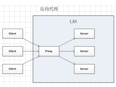 北溟有鱼QAQ博客